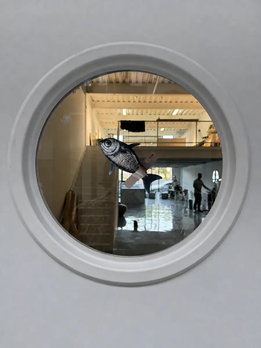Customer photo of a fish-shaped custom sticker on a round mirror