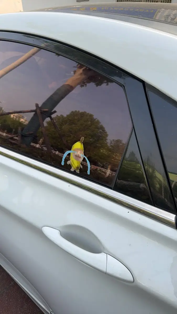 Small character custom sticker applied to an automotive window